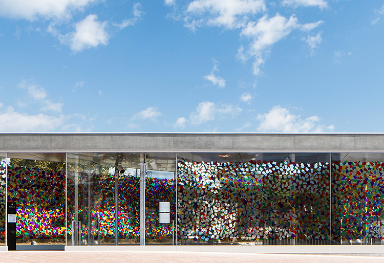 ザ・トライアングルへのご支援