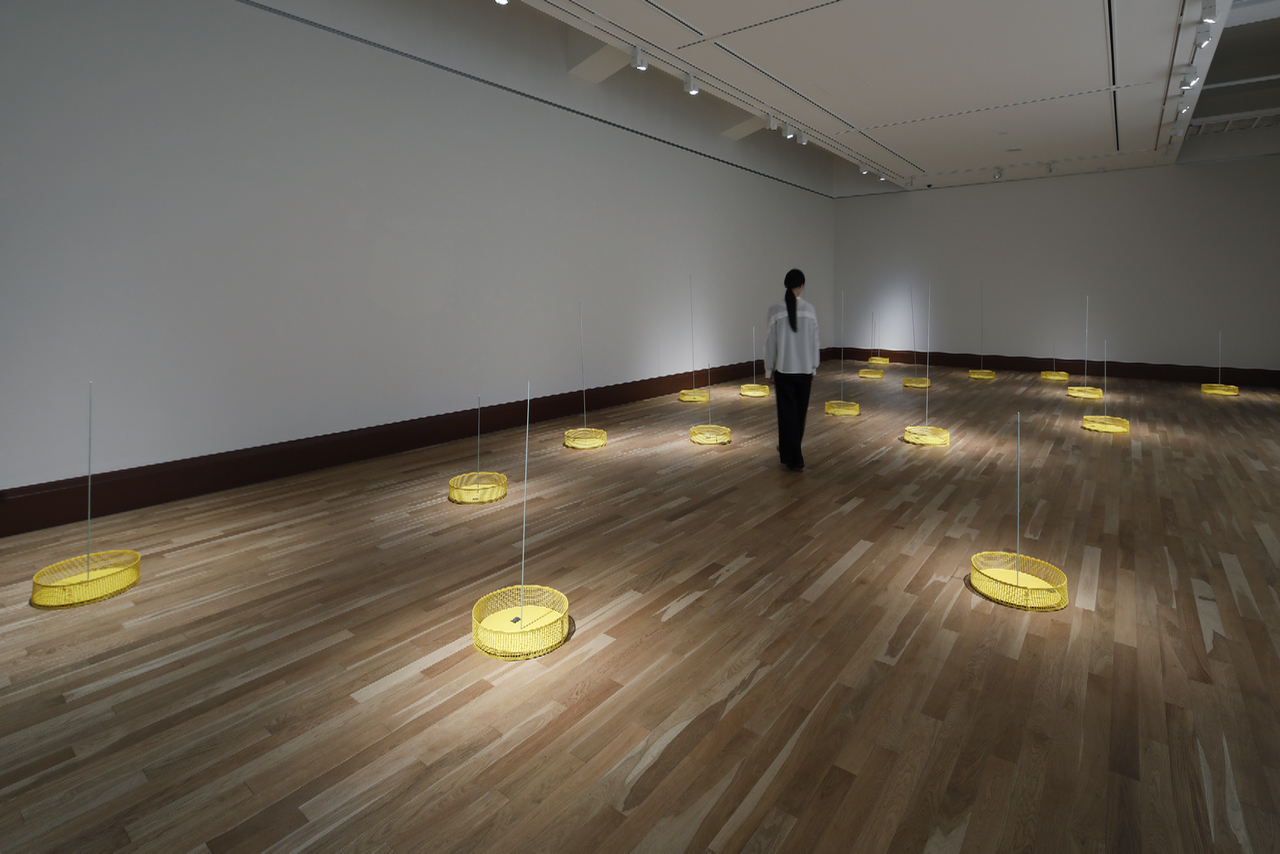 ワークショップ「光の広間にみんなで河口龍夫《関係－種子・向光性》を展示する」